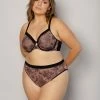 Bra & Panty Sets Curvy Couture Sheer Mesh Chantilly High Cut Hipster Panty 1313
