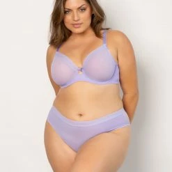Curvy Couture Sheer Mesh Lavender High Cut Hipster Panty 1313