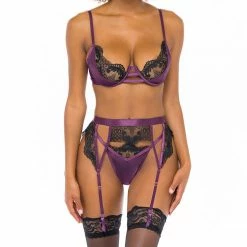 Oh La La Cheri Lingerie Cadence Plum Lace And Mesh 3 Piece Set 41-11629