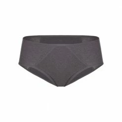 Gemsli Peridot Leak Protection Hipster Grey Panty 5015 Panties