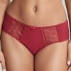 Bra & Panty Sets Panache Cari Raspberry Brief Panty 7963