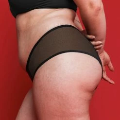 Panties Proof Leak Free Black Mesh Hipster Panty HR2003