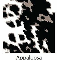 Panties TC Fine Edge Contemporary Microfiber Fashion Colors Brief Panty A4-115