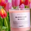 Ryan Porter Gifts Ryan Porter Bloom Baby Bloom 9 Oz Candle Accessories