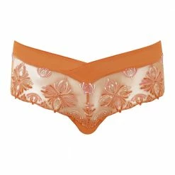 Chantelle Champs Elysees Spice Rose Hipster Panty 2604