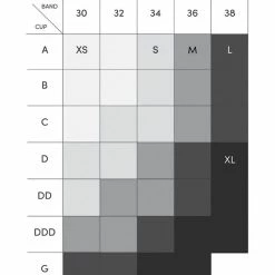 Chantelle Sport Hi Impact Black Wireless Sports Bra 2948