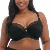Bras Elomi Brianna Black Padded Balconette Bra 8081