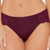 Fit Fully Yours Serena Burgundy Bikini Panty U2762 Bra & Panty Sets