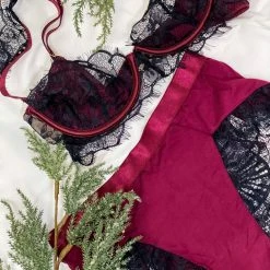 Bras Oh La La Cheri Lingerie Nicole Zinfandel Bra & Panty Set 40-11425